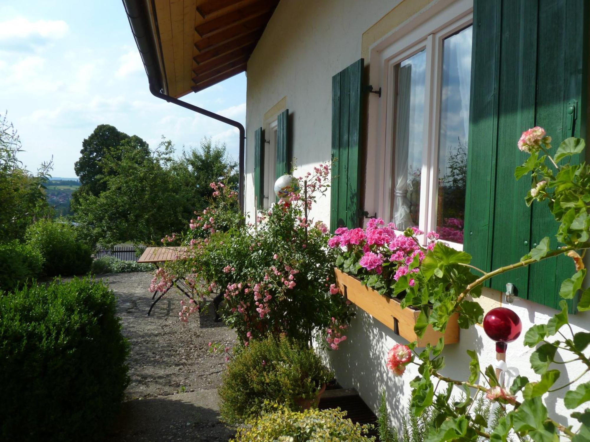 Ferienwohnung Panorama Bad Kohlgrub Exteriör bild